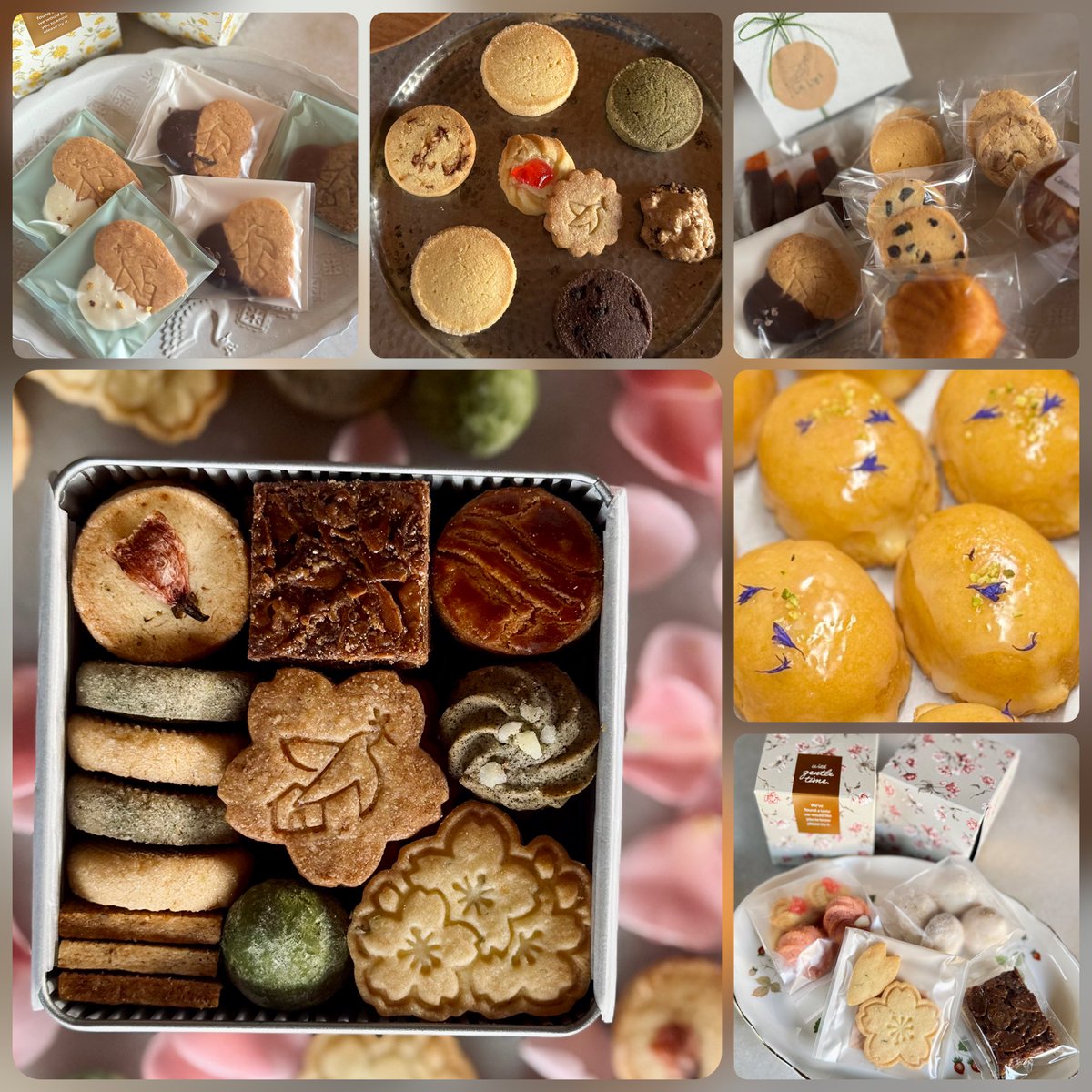 らむね🌱お菓子と鳥 tweet media