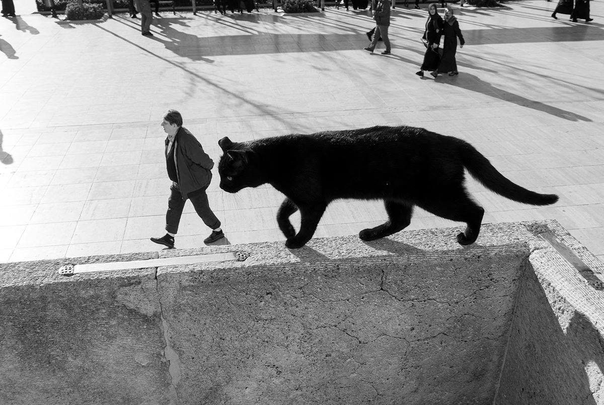 Perspective. Sami Uçan, in Turkey.