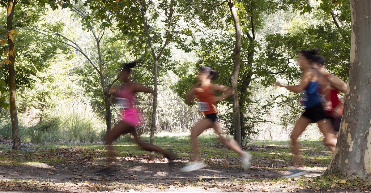 e_niort's tweet image. #CrossCountry. Onze athlètes deux-sévriens participent, ce dimanche 8 mars, aux championnats de France de cross-country.
→ nrt79.link/m0ri8h