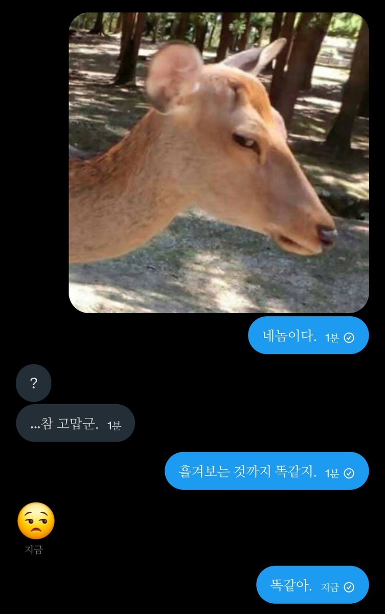 A7YCH19H0BI4's tweet photo. https://t.co/trbUZYzicJ