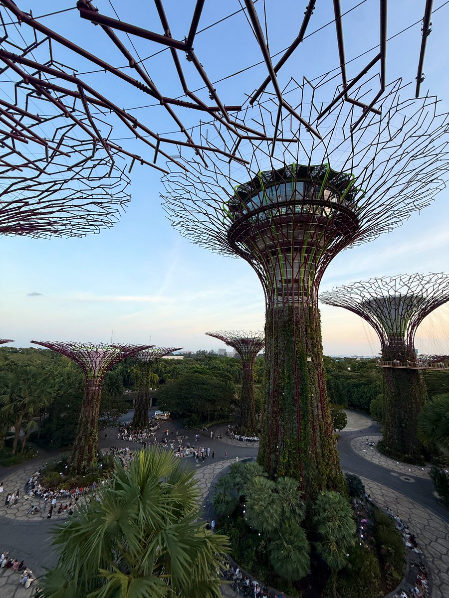 Vilém Franěk tweet media