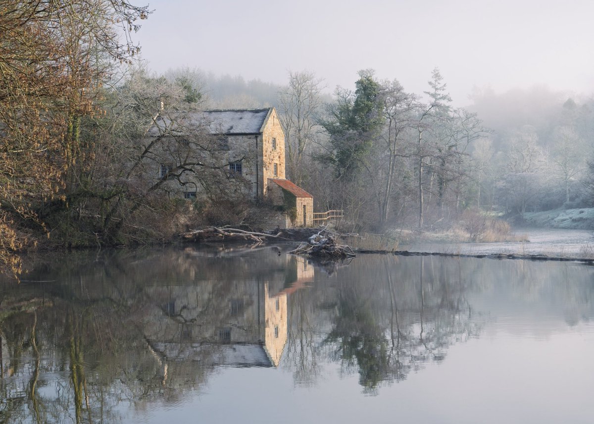 Jim Scott tweet media