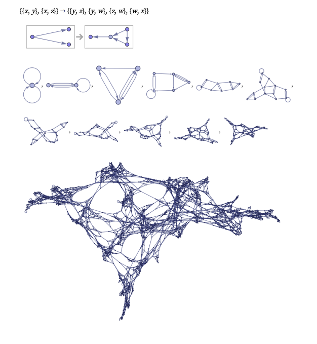 Riley Coyote tweet media