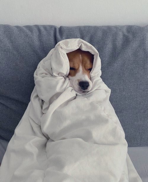 Code Engr tweet media