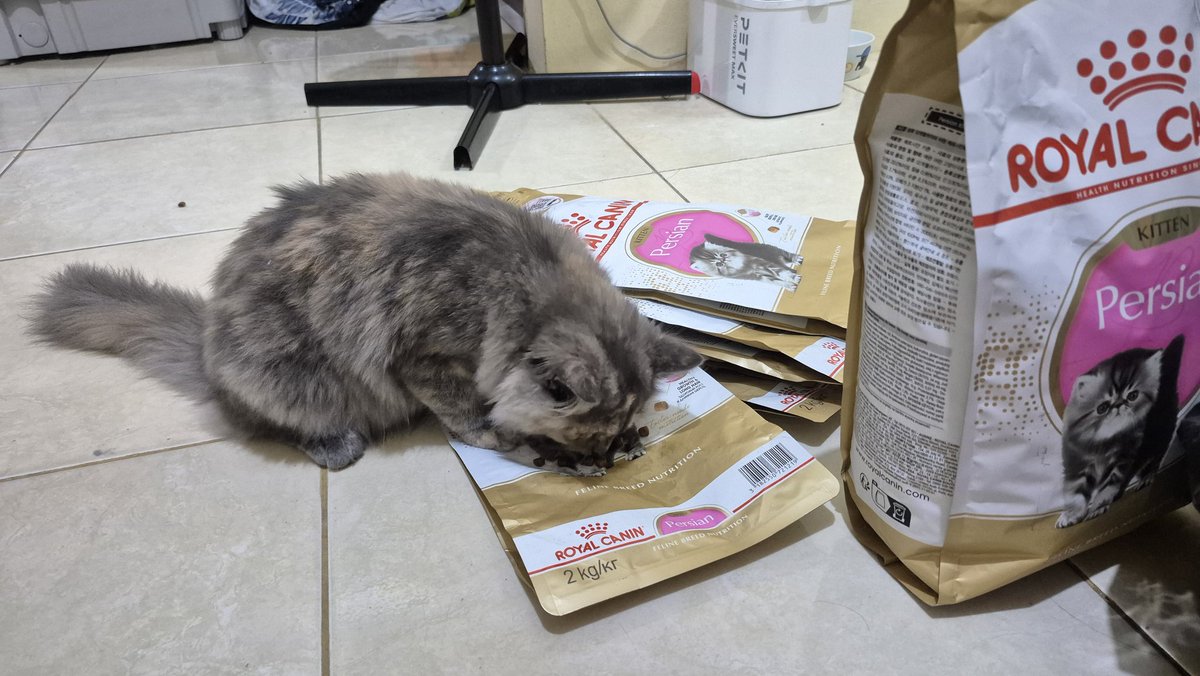 Ubiii & Upiii tweet media