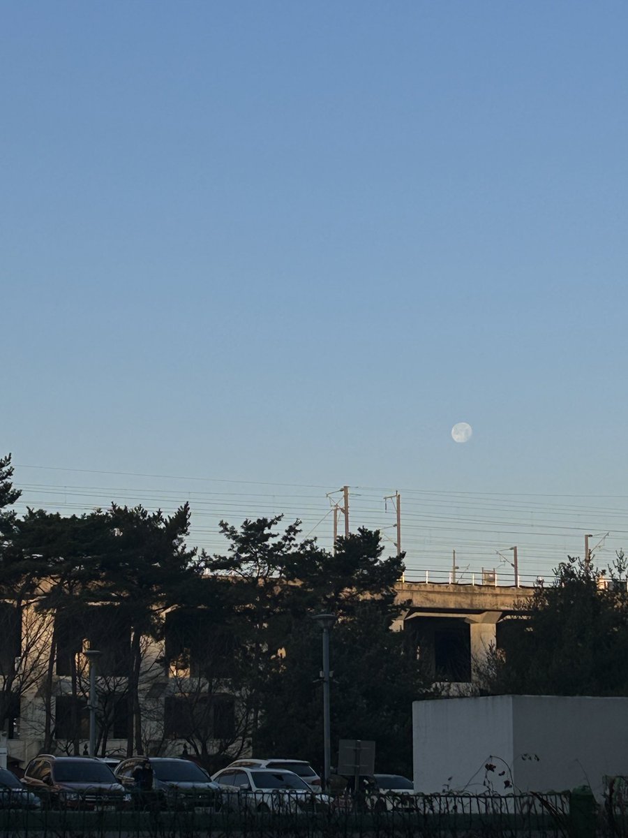 눈송이 tweet media