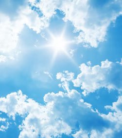 FearBuck tweet media