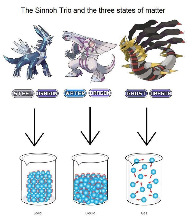 Pokémon Posts tweet media