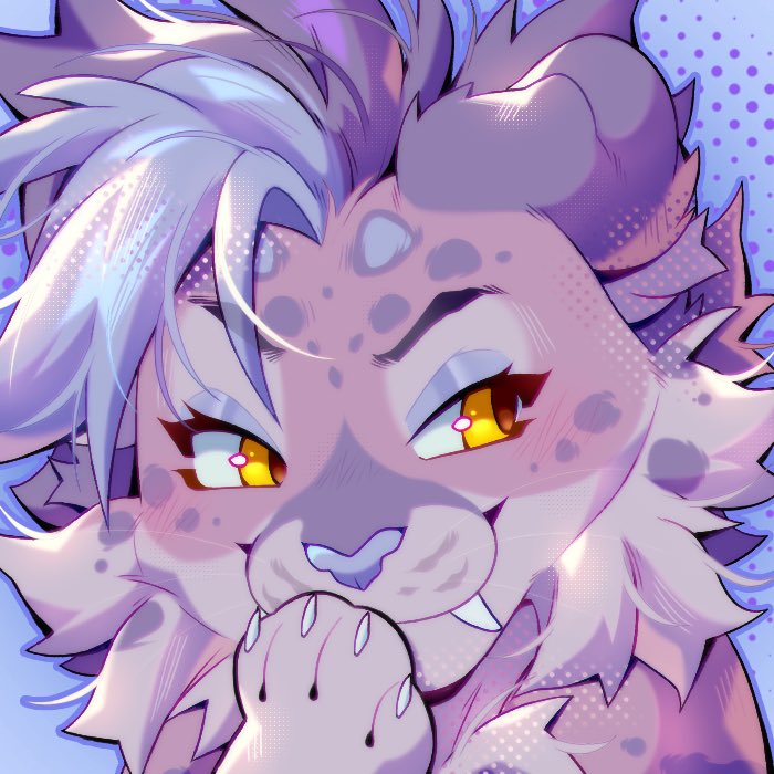 cat 🐱 tweet media