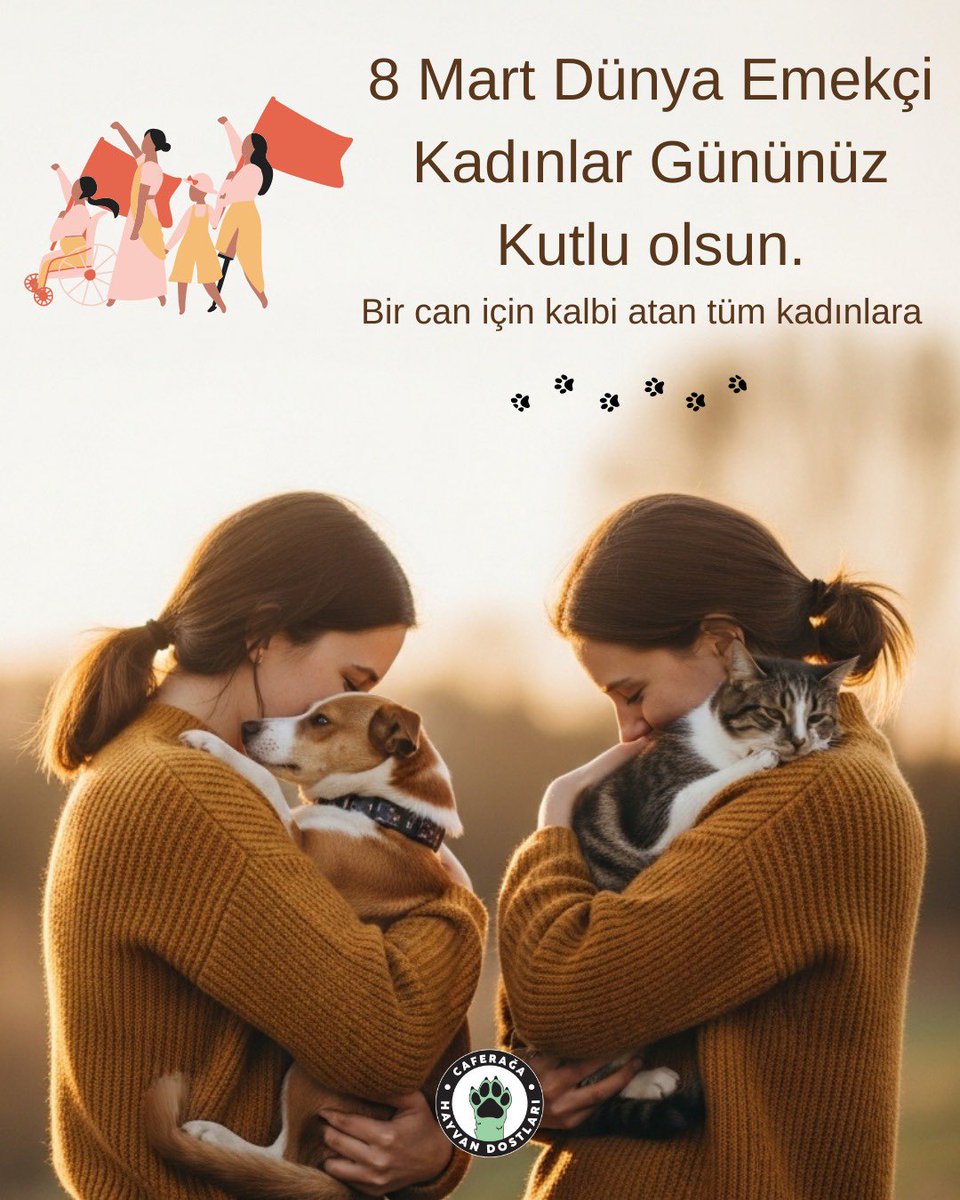 Caferağa Mahallesi Hayvan Dostları 🐾 tweet media