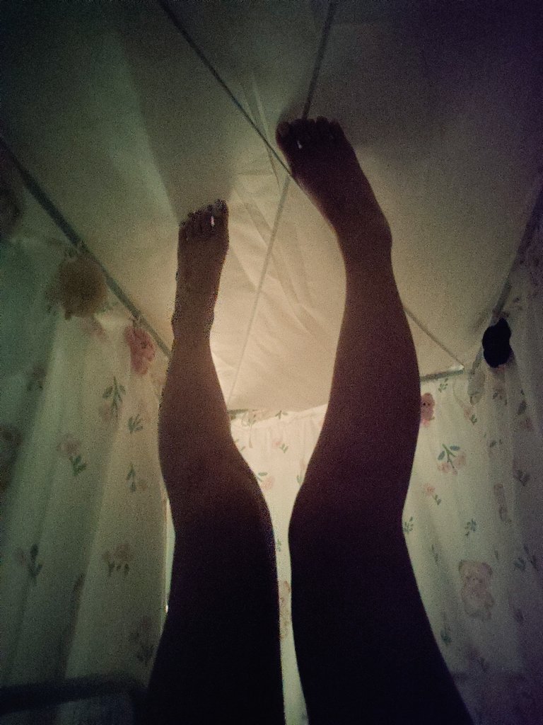 奶昔宝宝 tweet media