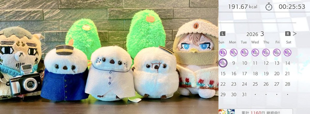 フィットボクシングを頑張っています

シマエナ尾〜🥰 想像していたよりもちっちゃくてかわいいです💕雪が溶けたら かっこいい枝を拾ってきてとまり木にしてあげるね  小さき命達 大切にします♪