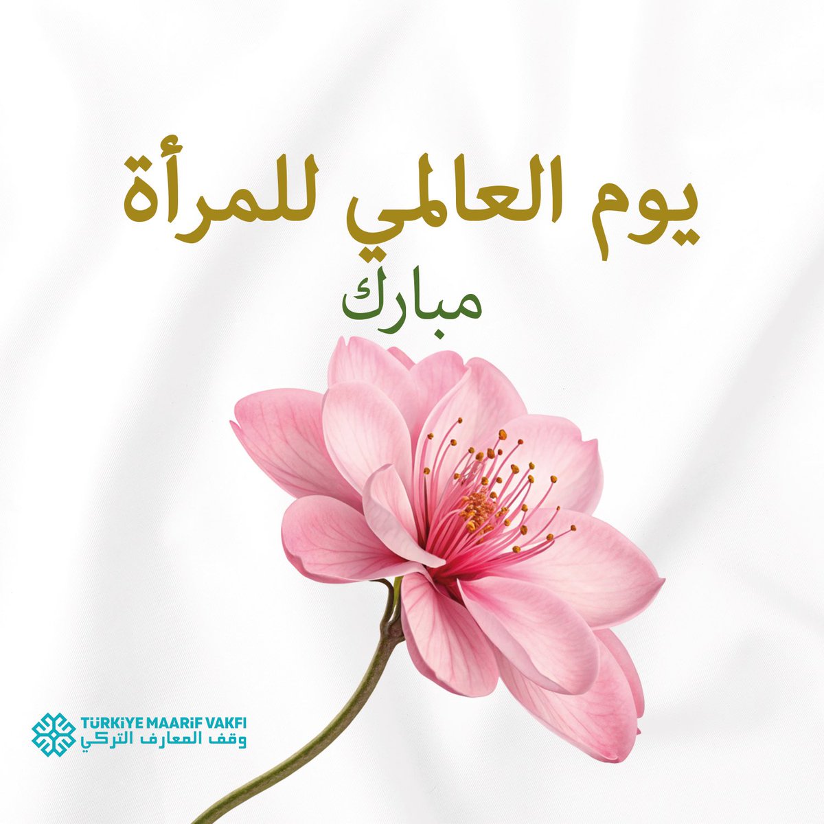 TMaarifARP's tweet photo. يوم العالمي للمرأة مبارك💐 https://t.co/EiqqsYJFYy