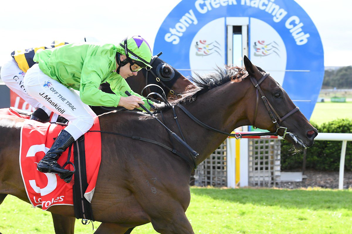 Liam Howley Racing tweet media