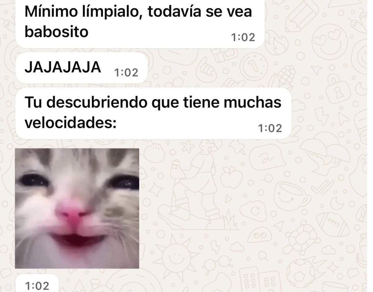 Eireny_ip tweet media