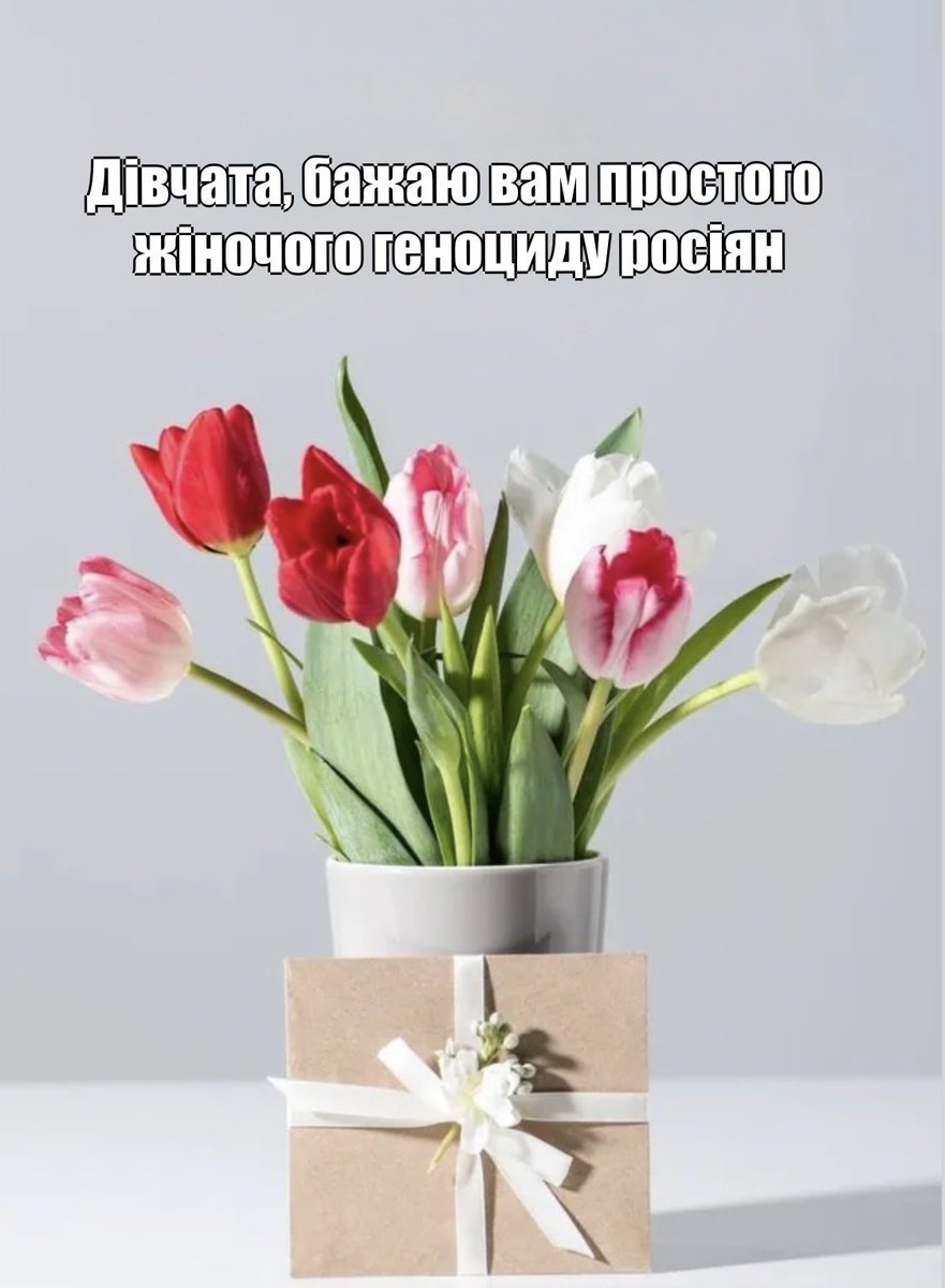 соняшник 🌻 tweet media