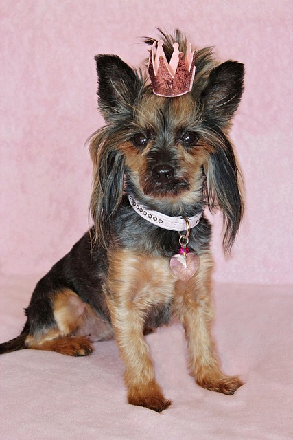 Aaron Cranor tweet media