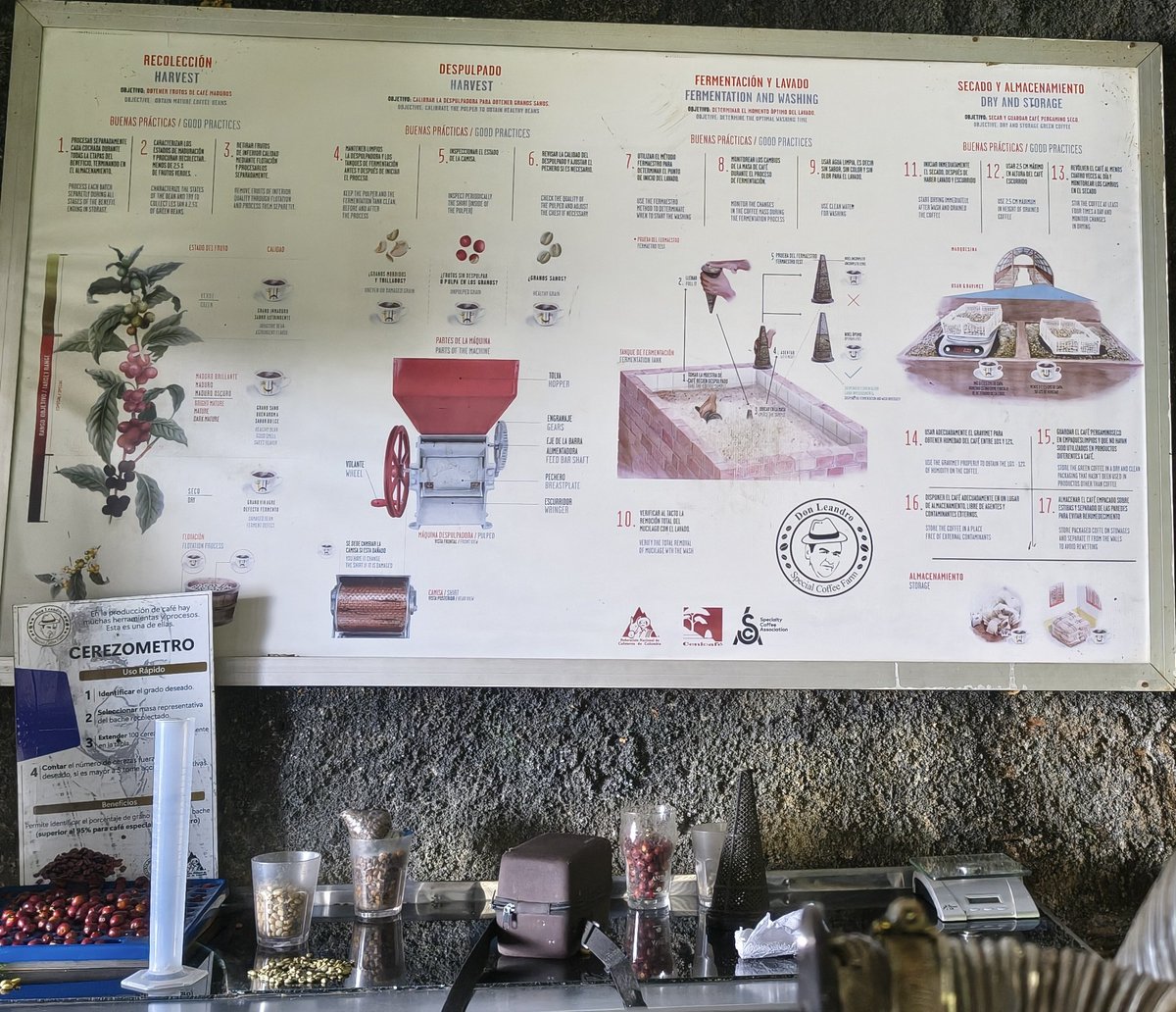 Augusto Rios tweet media