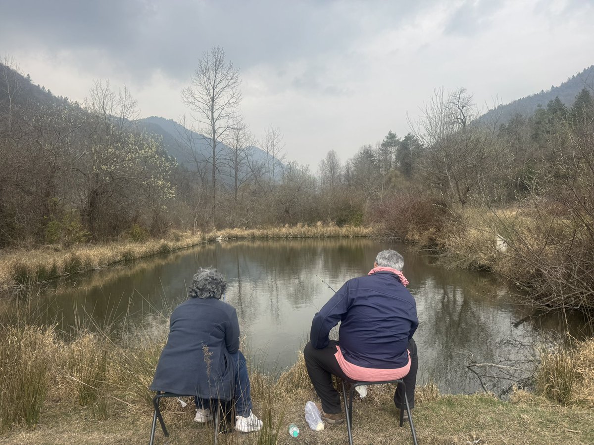 Rajesh Sawhney 🇮🇳 tweet media