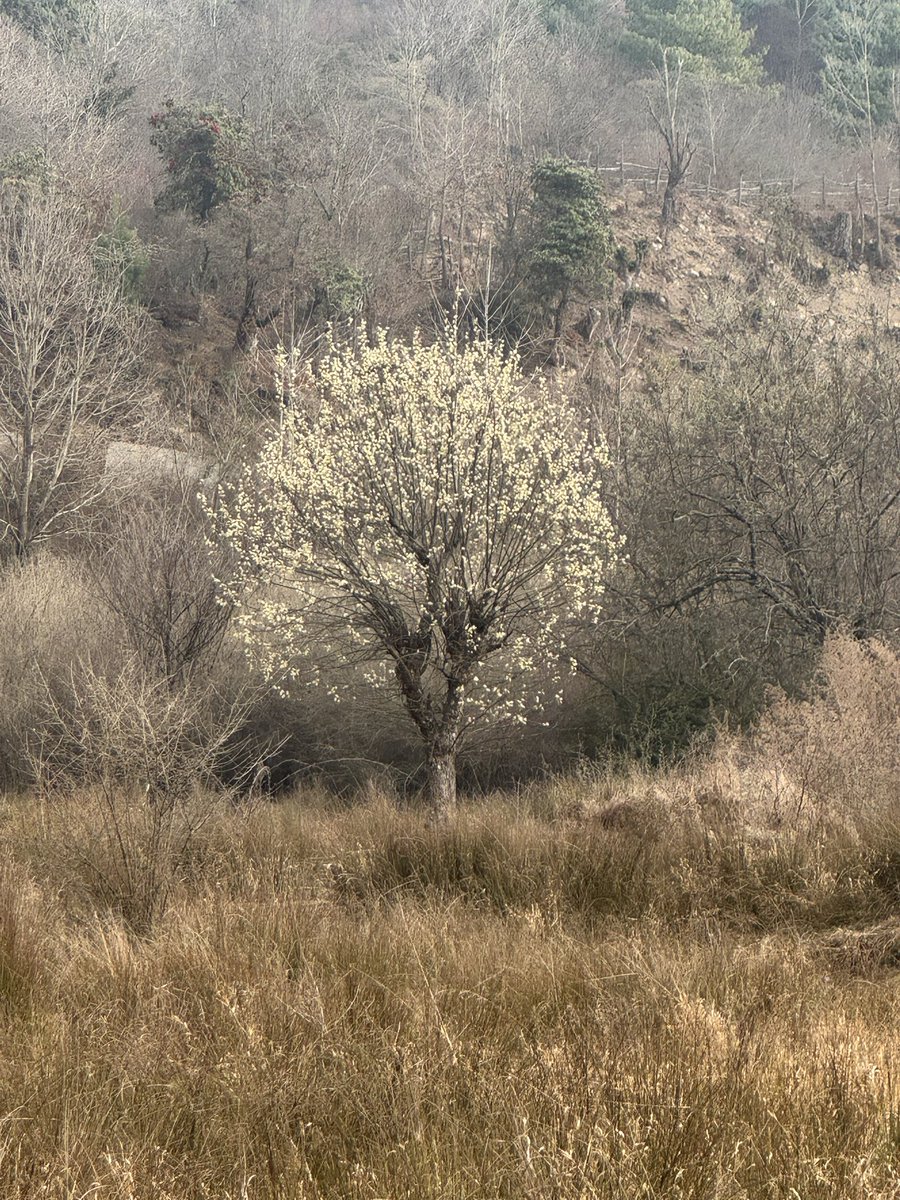 Rajesh Sawhney 🇮🇳 tweet media