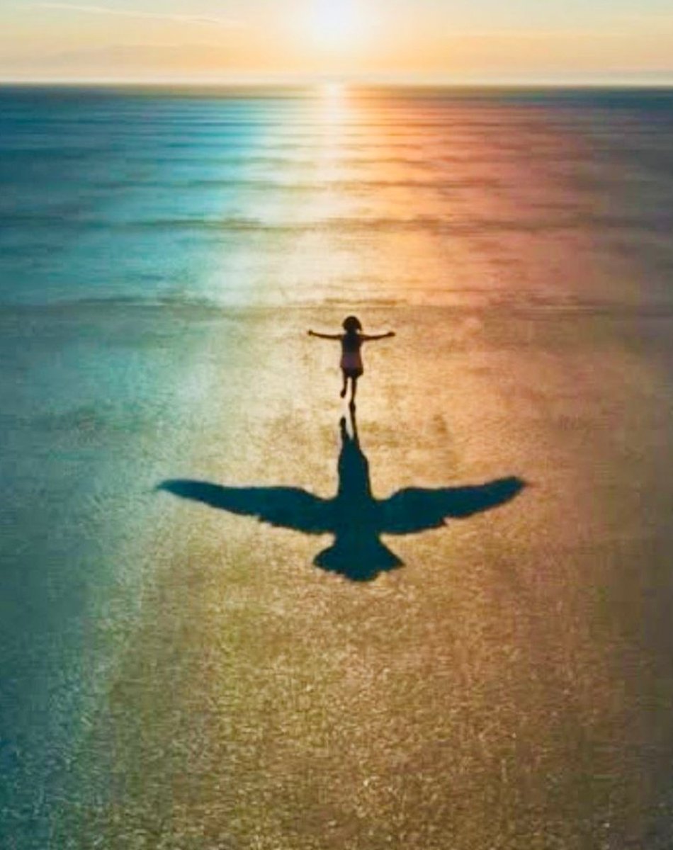 International Women's Day 
Not just a day of celebration.
A reminder of a protest that began a movement.
The run continues... until equality reaches the horizon. 🦅