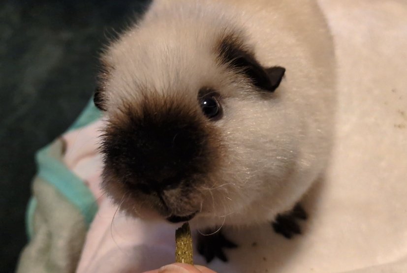 ann(ﾓﾙﾓﾙ) tweet media