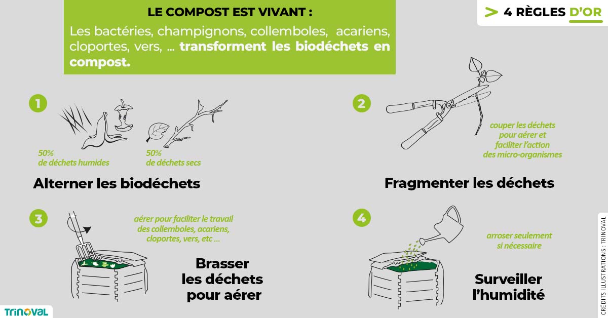 TRINOVAL80's tweet image. [#composter – #biodéchets]
Pour un compost équilibré, mélangez :
• 50% de déchets humides : épluchures de fruits et légumes, gazon fraîchement tondu en petite quantité, etc.
• 50% de déchets secs : feuilles mortes, petites branches coupées, etc.