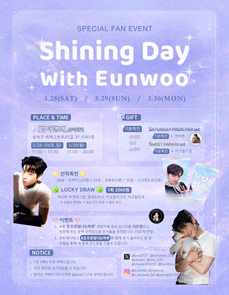 미모사 tweet media