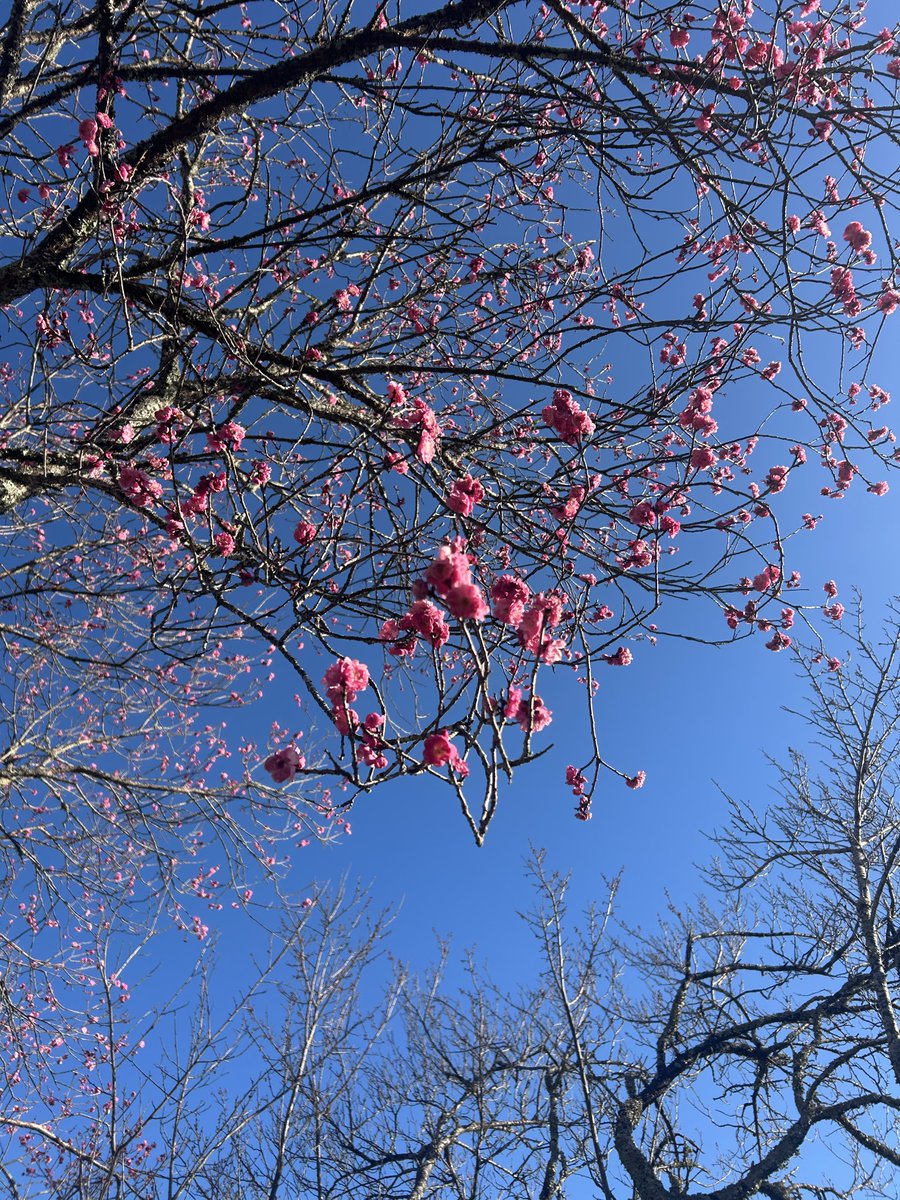 なぁぼし tweet media