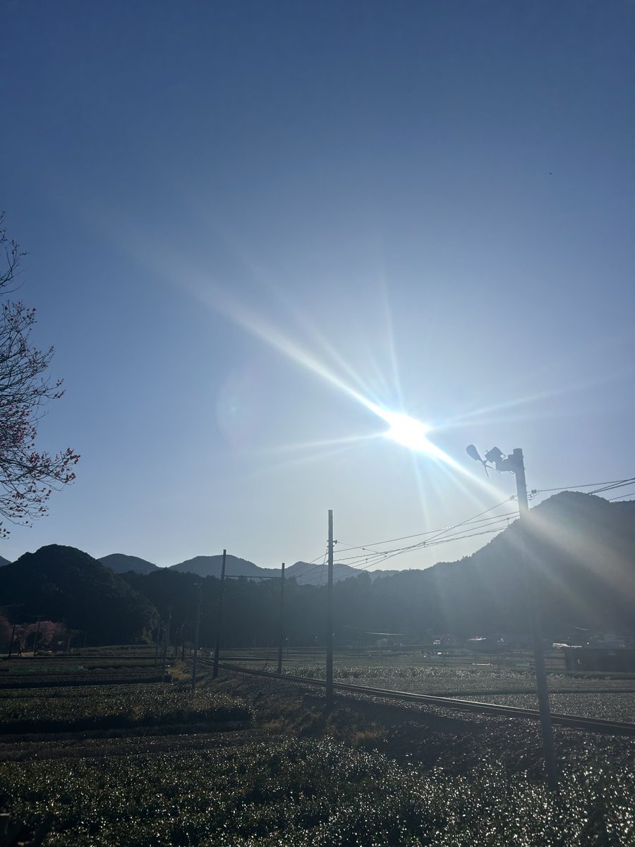 なぁぼし tweet media