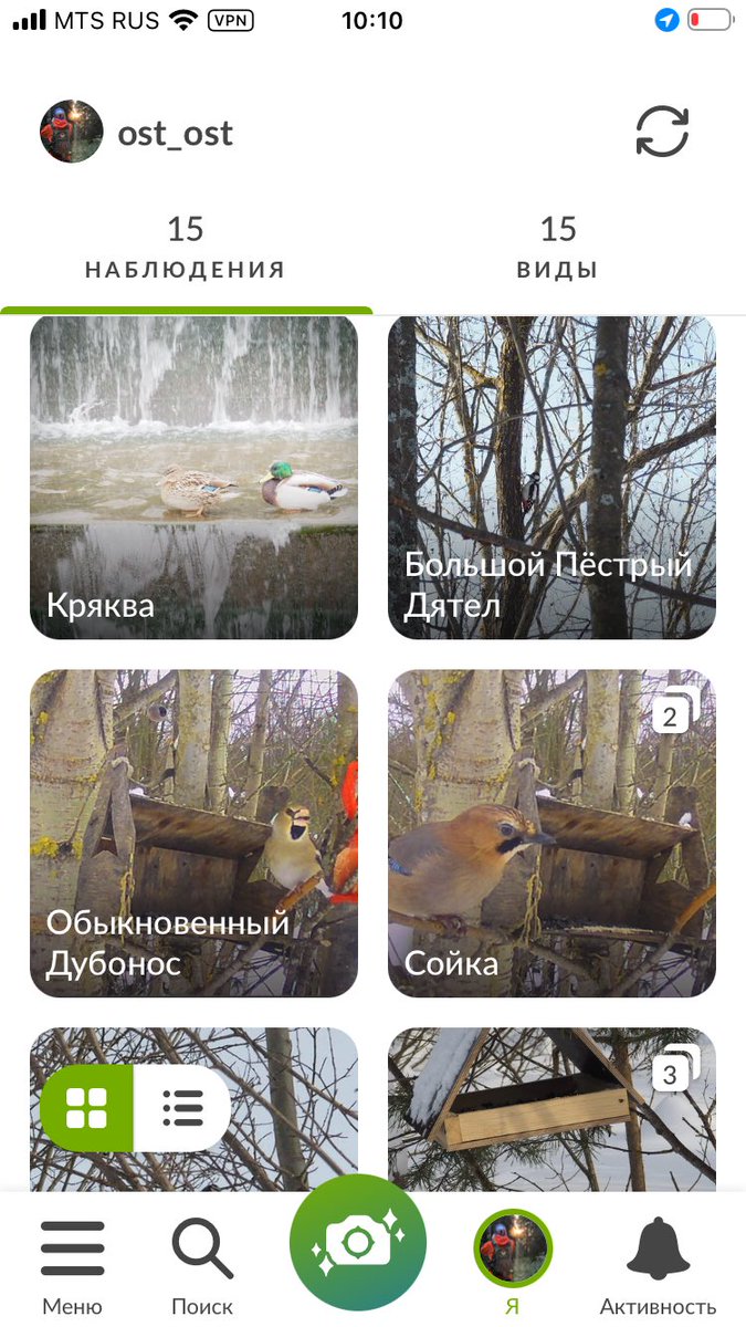 Ост Ост tweet media