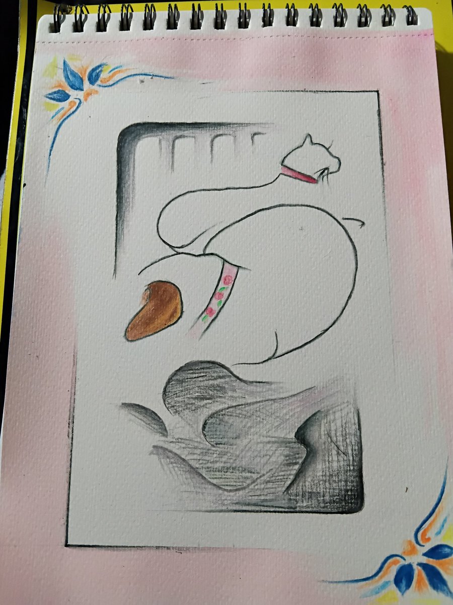 Madame Wombat #AlwaysWasAlwaysWillBe ⚫️🟡🔴🇵🇸🇺 tweet media