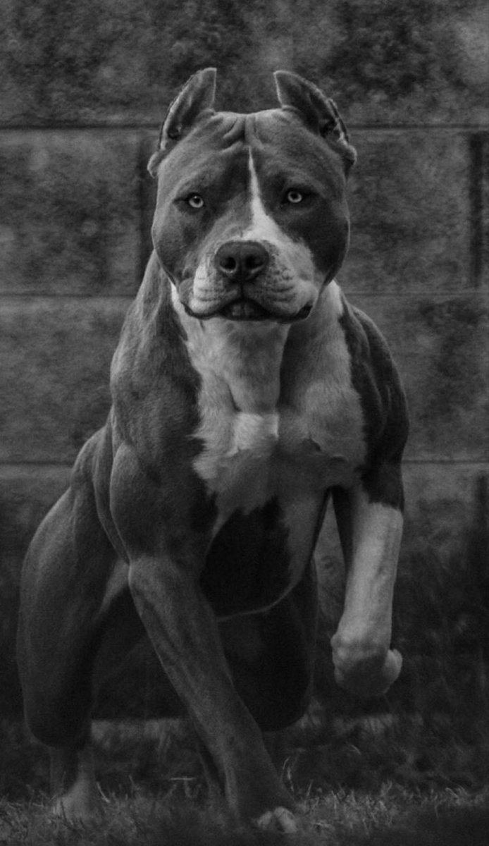 DeeDee🌟 tweet media