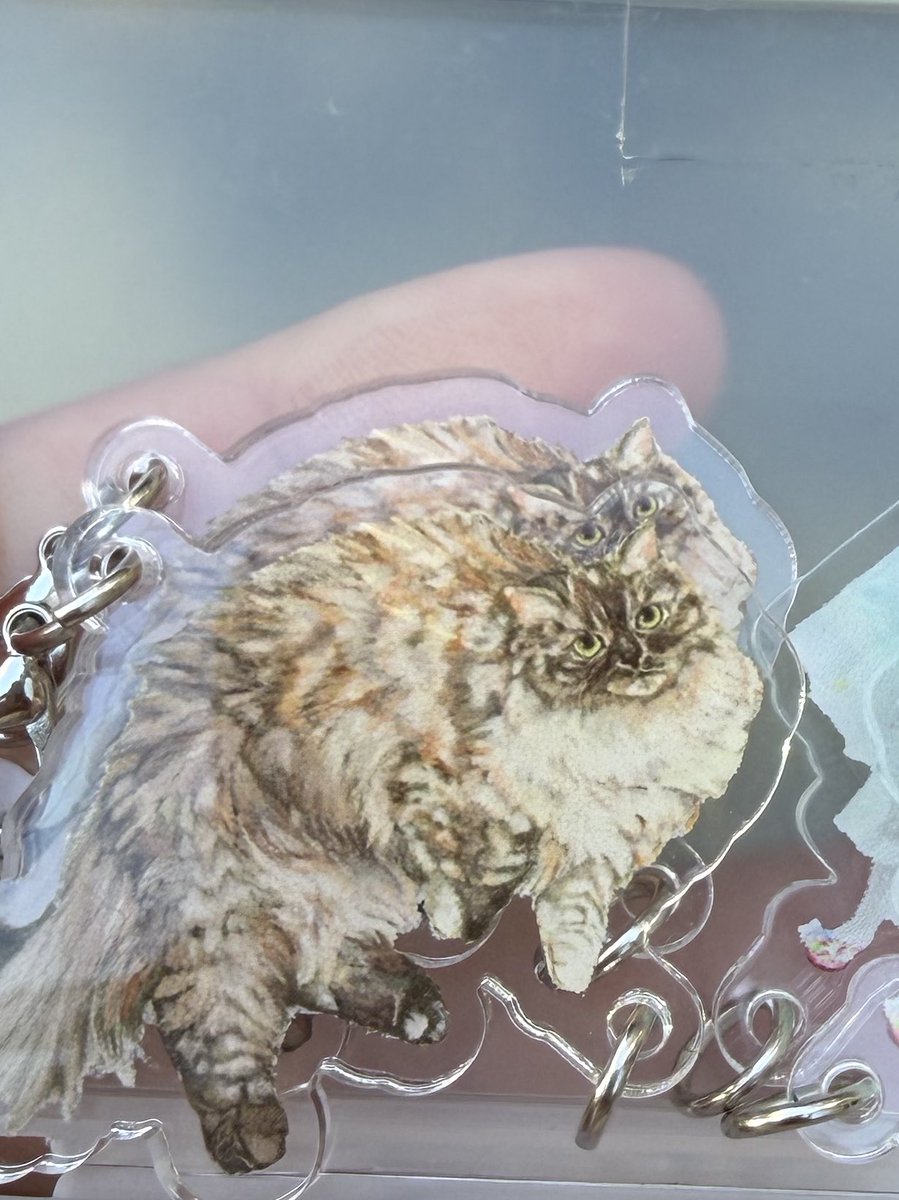 🦋あゆナイチンゲール🌷💉 tweet media