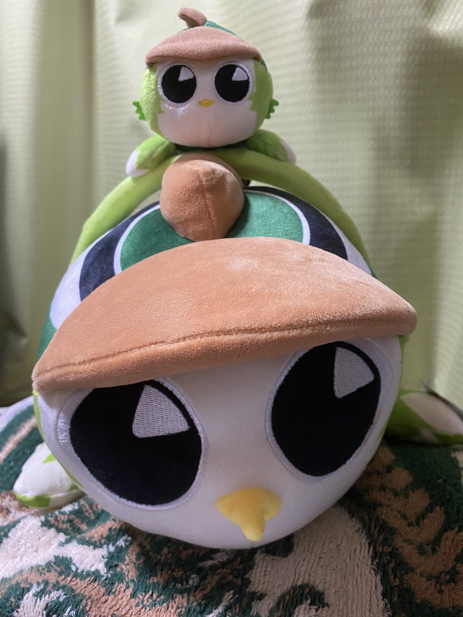 碧林檎 tweet media