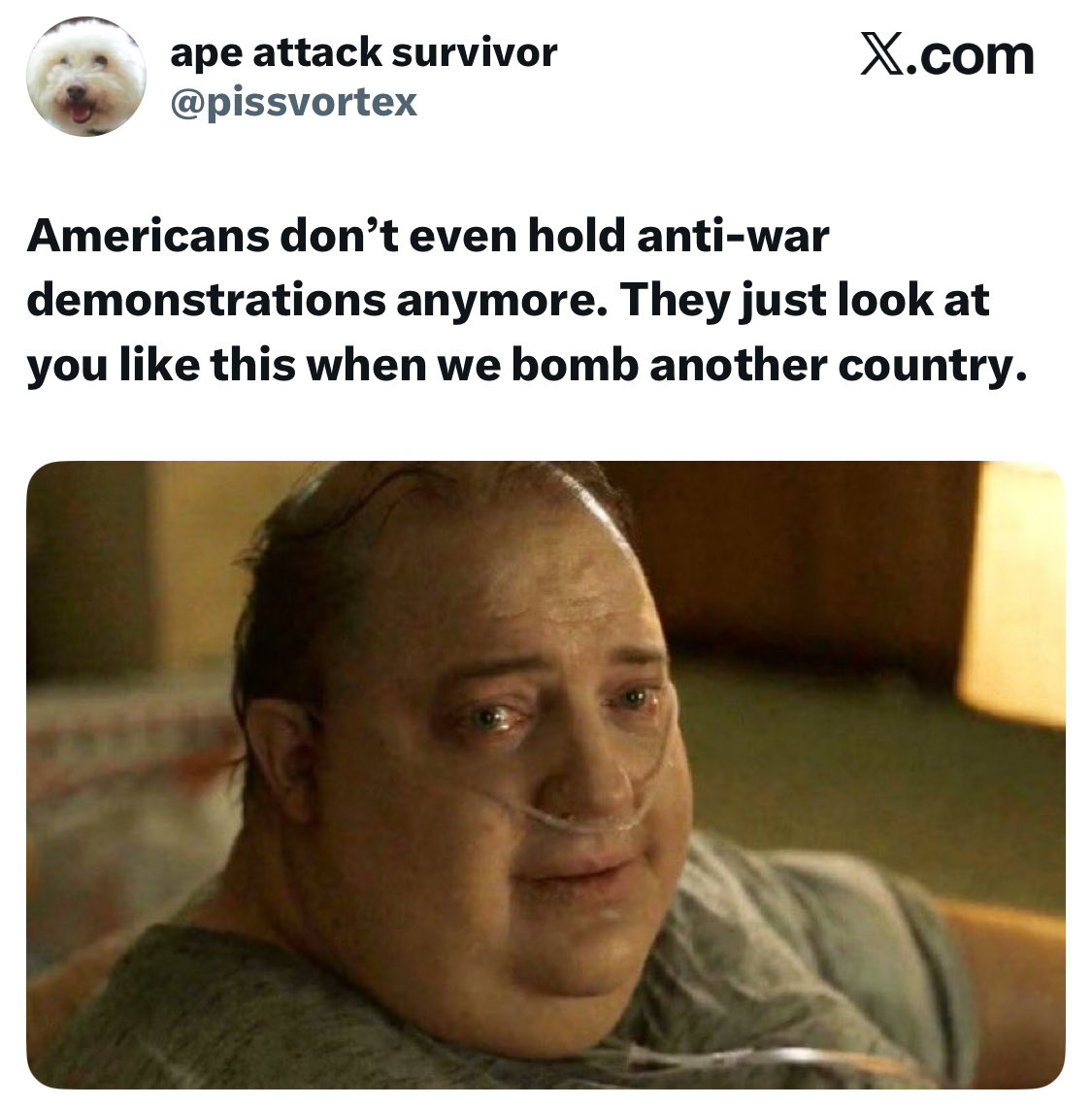 TheKavernacle's tweet photo. they are still telling people to vote for the Democrats despite both their leaders supporting the war!!! https://t.co/zErFL6ymqa