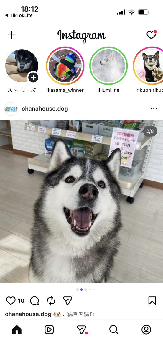 れんまま tweet media