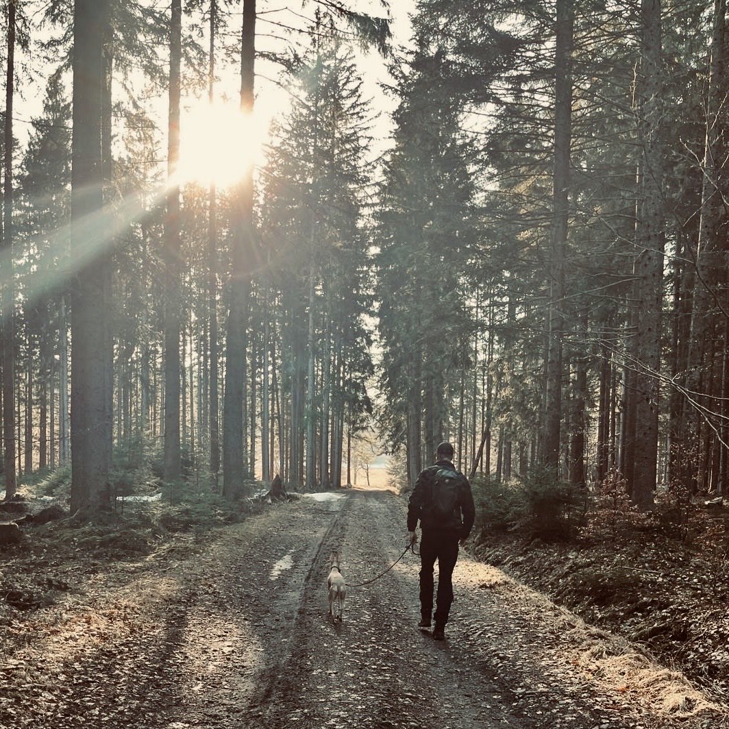 Petr Žabža tweet media