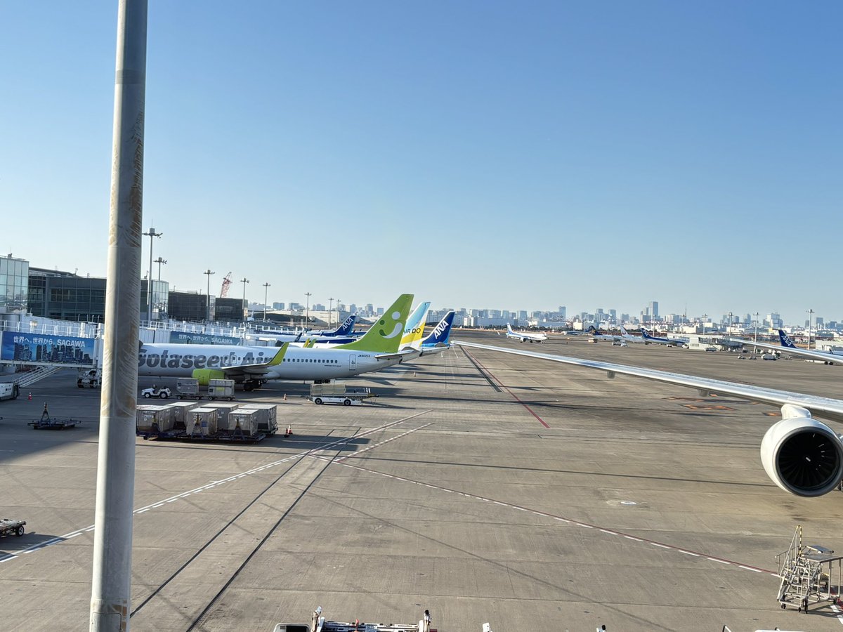 るのちゃ🦈 tweet media