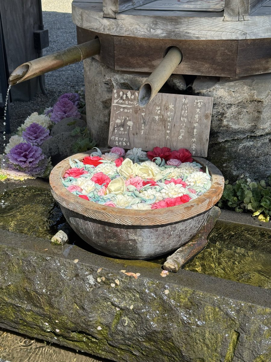 ハルカワ ニナ tweet media