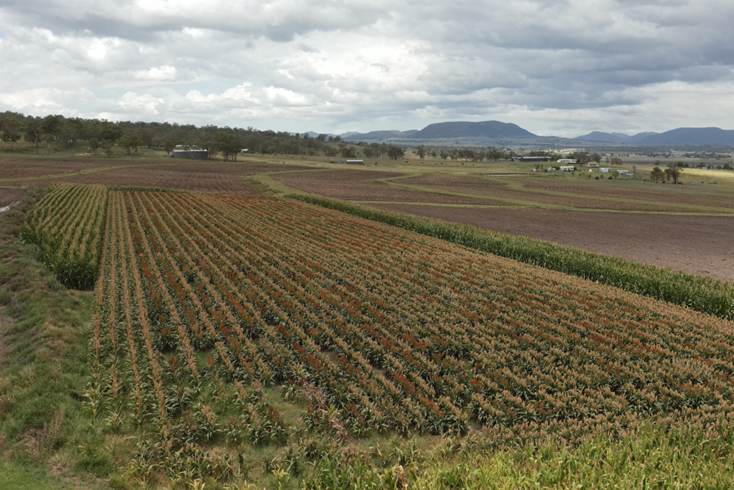 David Jordan tweet media