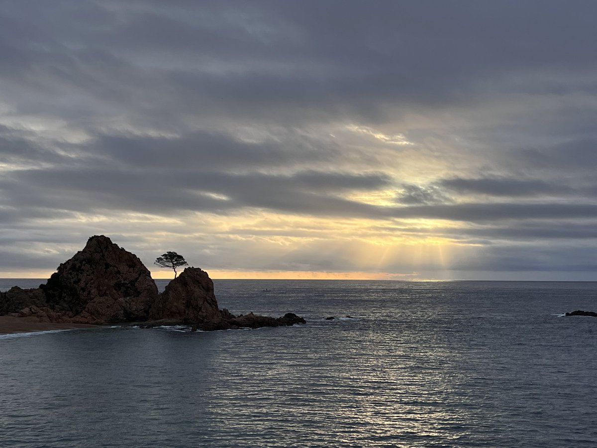 Robby Geebelen tweet media