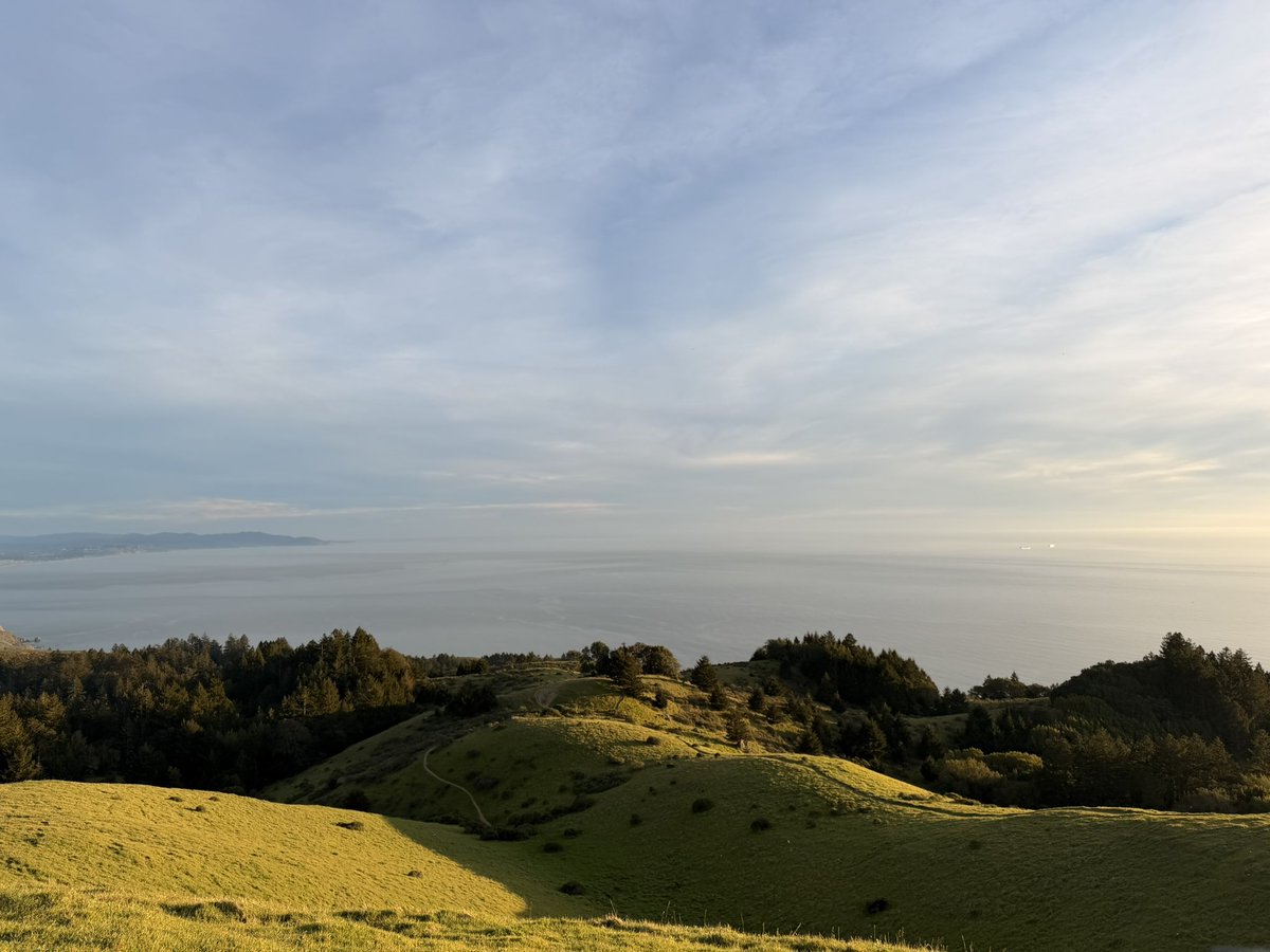 the bay area is crazy