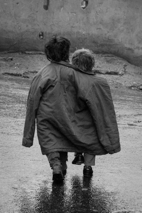 Gentleness is sometimes an act of quiet rebellion.
A decision to remain open
where experience suggested closing.
Compassion becomes deliberate
when you understand why it matters…