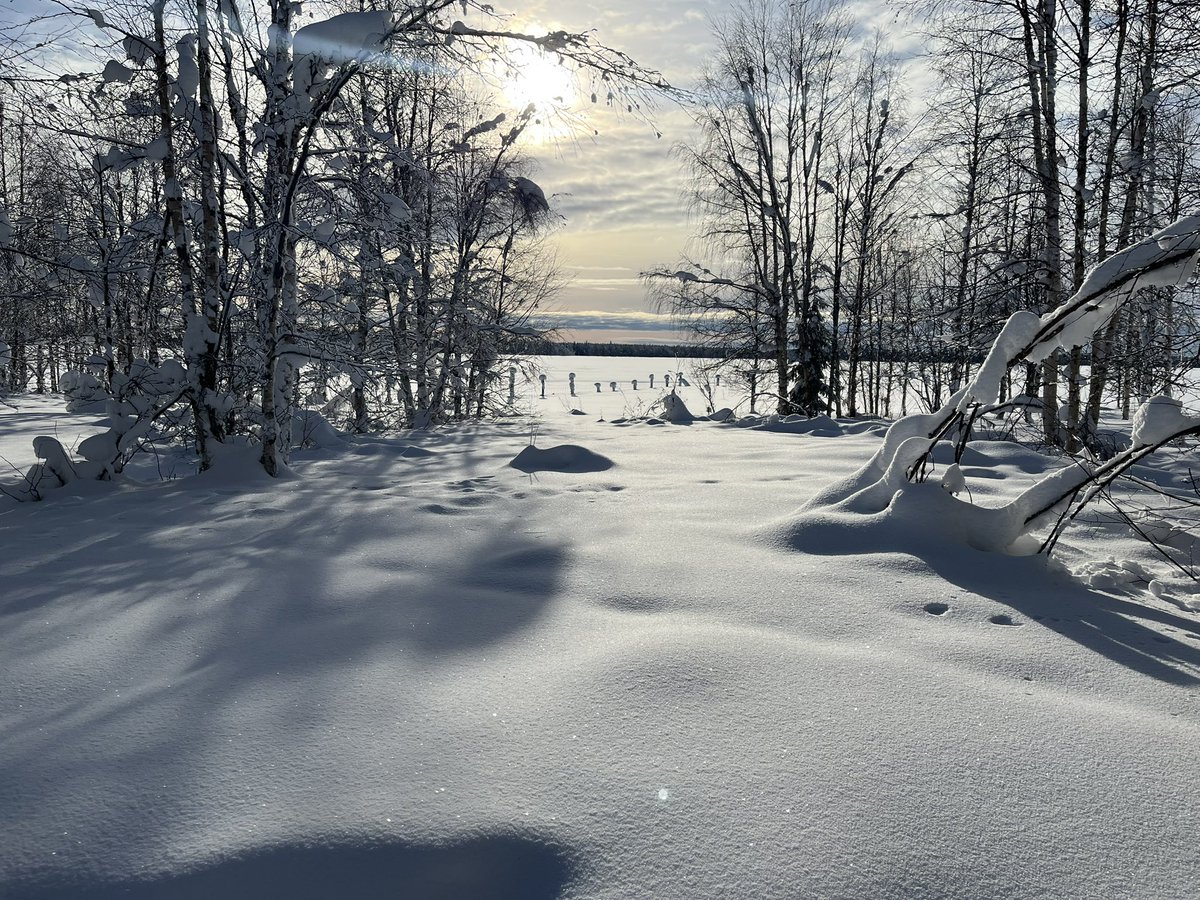 Hindrik Vriesinga🚜🐄🐷🐥 tweet media