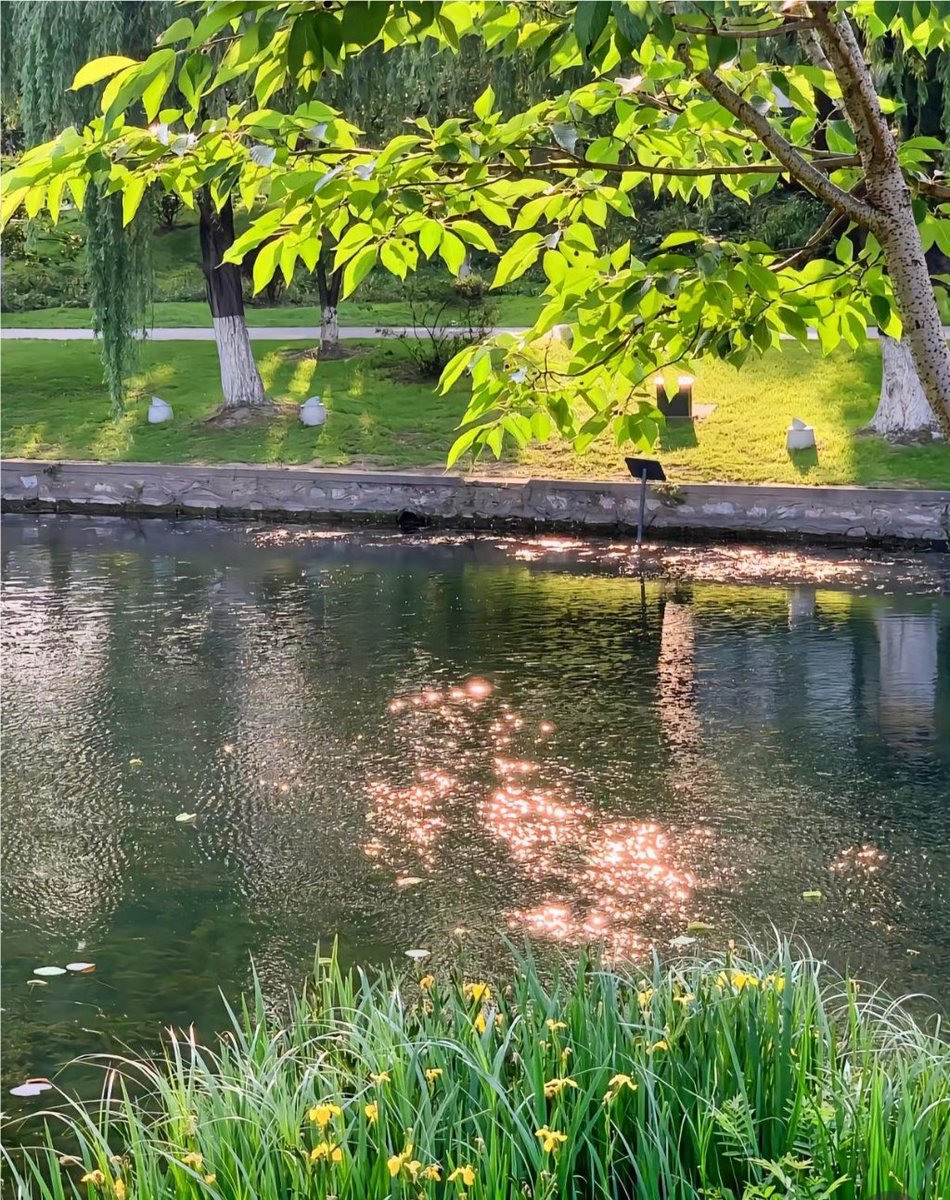 Wyokcff Anelyitos tweet media