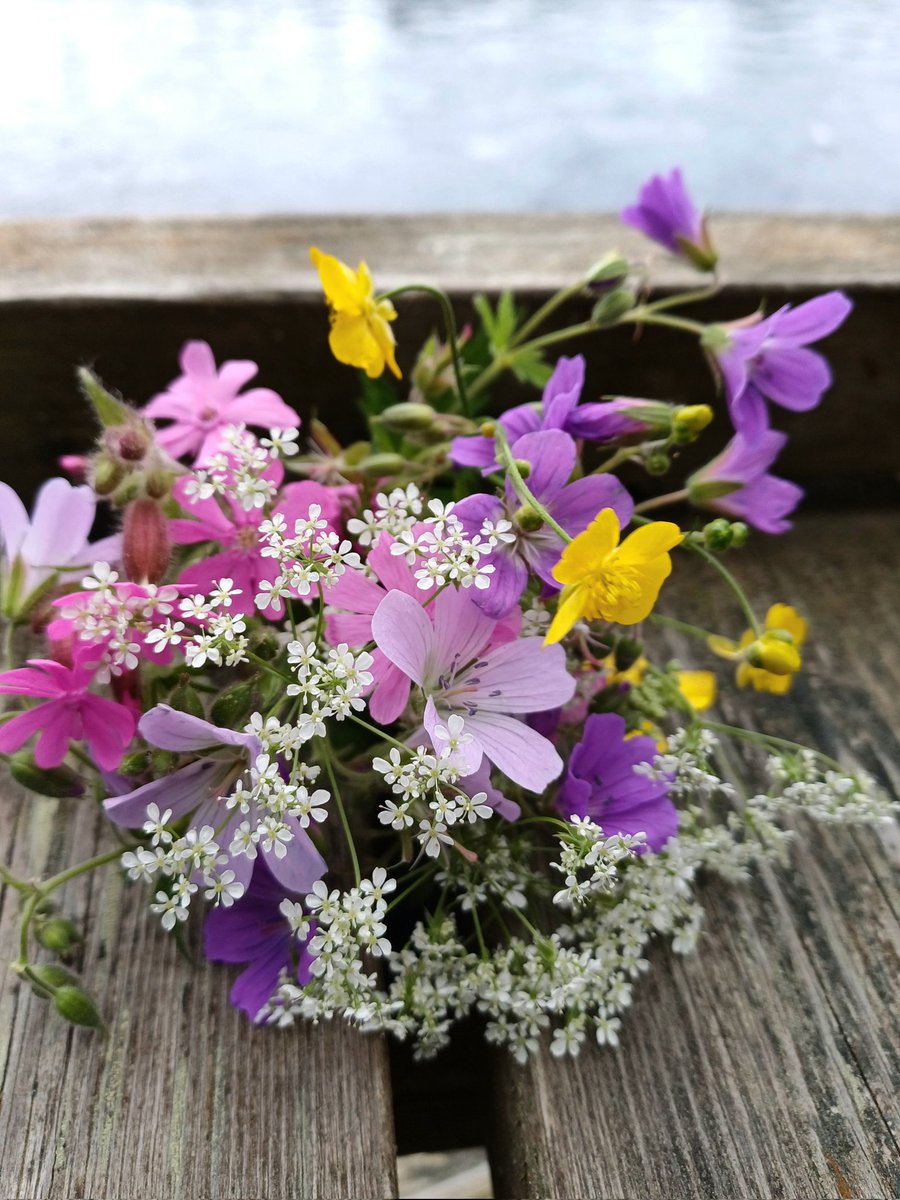 Sari Maarit tweet media