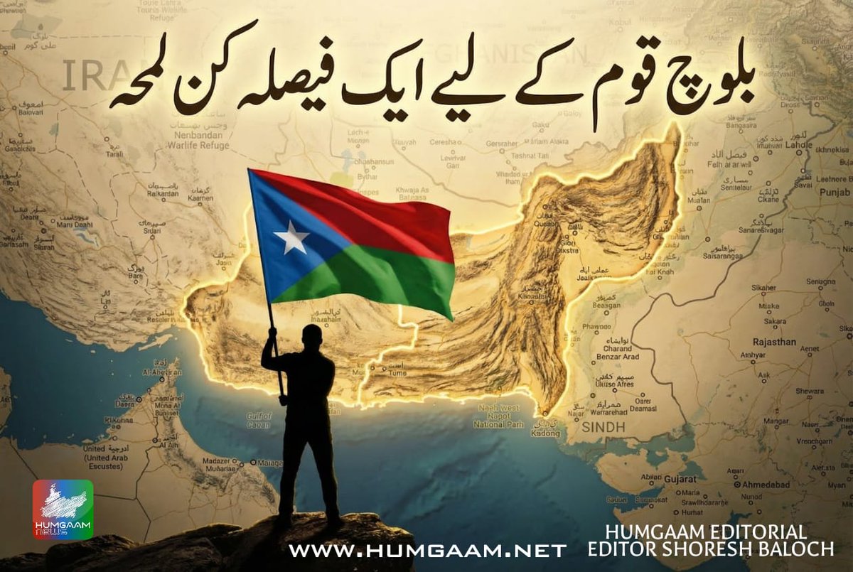 Humgaam News tweet media