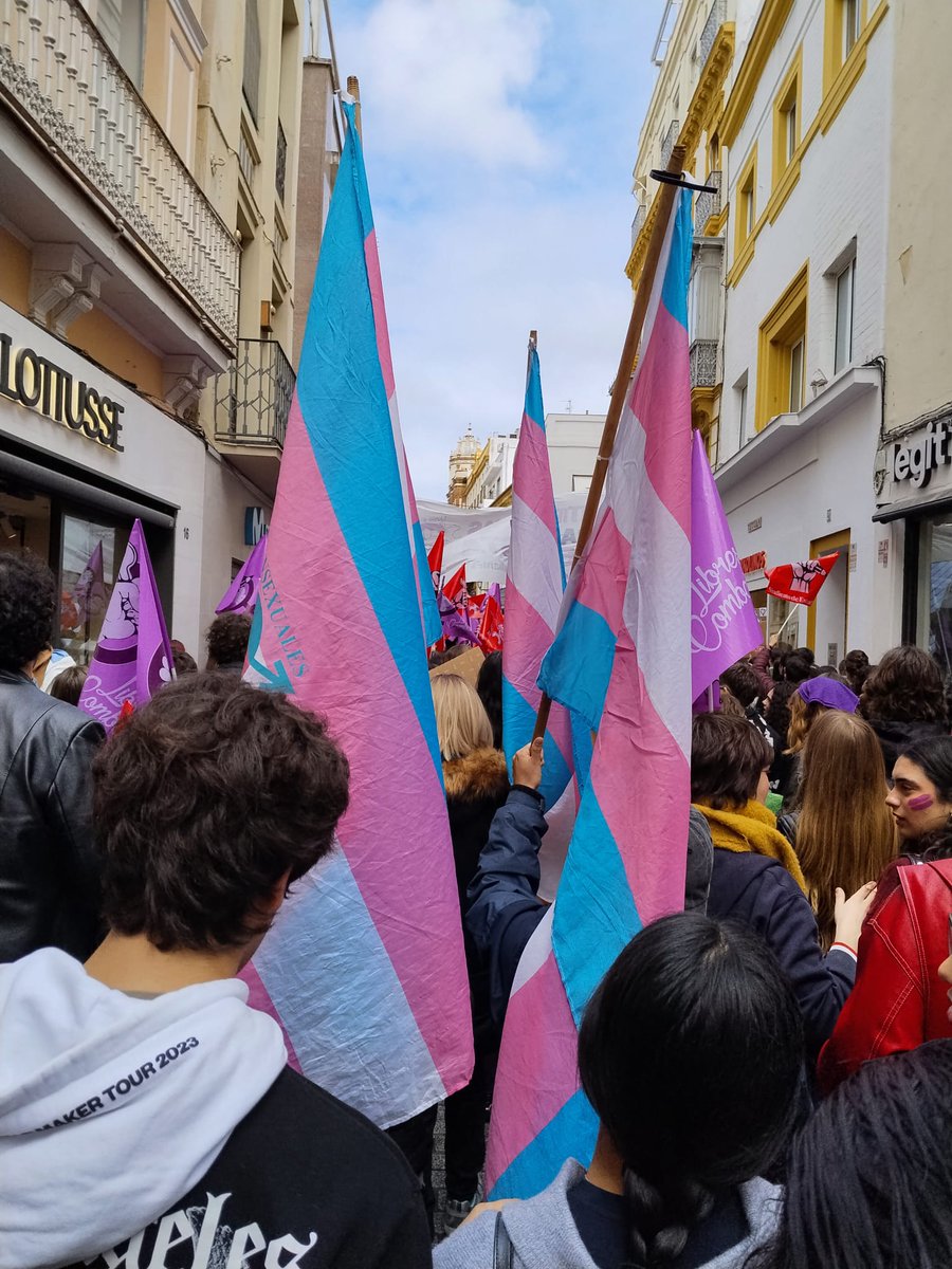 🔻Mar Cambrollé 🏳️⚧️ Hay Ley Trans tweet media