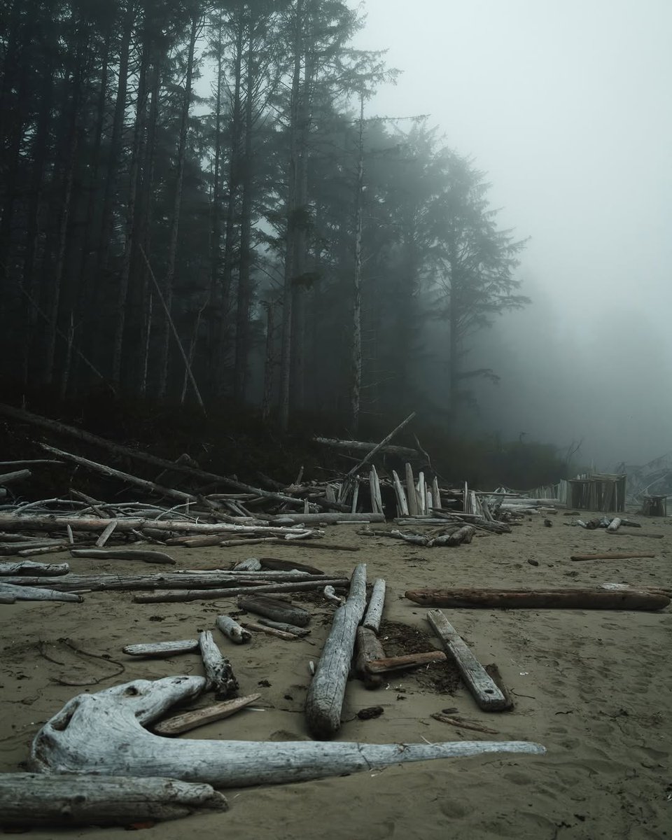 𝘄𝗮𝗻𝗱𝗲𝗿𝘁𝗿𝗮𝘃𝗲𝗹𝘀 tweet media